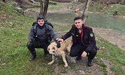 Kahramanmaraş’ta mahsur kalan köpeği itfaiye ekipleri kurtardı