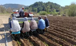 Günlük yevmiyelere zam yapıldı! Net ücret 1400 TL oldu