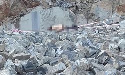 Kahramanmaraş'ta bir günlük iş hayatının acı sonu