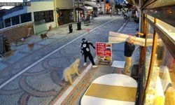 Edirne’de Edirne’de başıboş köpek saldırısı: 19 yaşındaki genç yaralandı