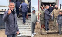 Koyun satın alırken Türkiye'de bir ilki gerçekleştirdi