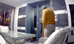 Samsun’da "Son Balkon" operasyonu: 5 milyonluk hırsızlık şebekesi çökertildi