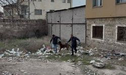 Kayseri’de 3 yaşındaki çocuğuna köpek saldıran baba: "Köpeğin çocuğumuzu bırakması için çok uğraştık"