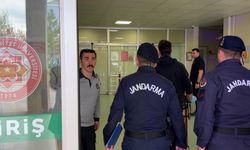 Komşu bostanına giren inek facia getirdi: Silahlar konuştu