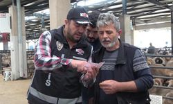 Polislerden kurban pazarı eğitimi: Tosun gerçek, Para da gerçek olsun
