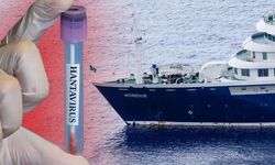 Hantavirüs alarmı! Üç Türk vatandaşı, İstanbul'da karantina altında
