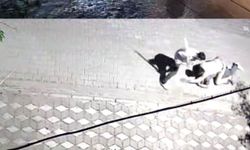 Manisa’da kız meselesi kavgası: 6 yerinden bıçaklandı