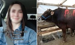 370 bin TL'lik kurbanı 210 bin TL'ye aldı, sorduğu soru olay oldu