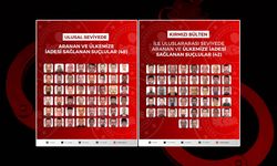 16 ülkeden tek tek toplandılar! 90 firari Türkiye'ye getirildi