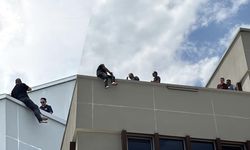Bolu'da doğada topladı, başına iş aştı! 2 milyon TL ceza sonrası çatıya çıktı