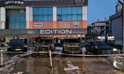 50 milyon lira değerindeki 4 araç alevlere teslim oldu
