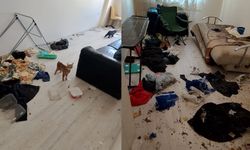 Apartmandan yayılan pis koku komşuları ayaklandırdı