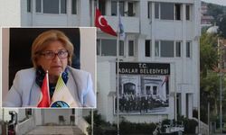 Medine Pamuk Kimdir, Hangi Partili, Aslen Nereli, Asıl Mesleği Ne?