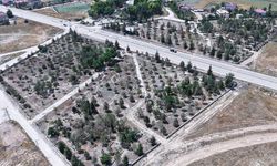 Büyükşehir'den kuzey ilçelerdeki mezarlıklara dev bakım