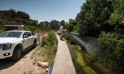 Kahramanmaraş’ta haşereyle mücadele hız kazandı