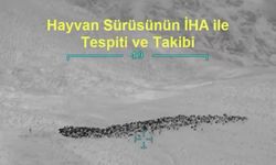JİHA destekli operasyon: 800 hayvan sahibine teslim edildi
