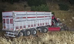 Kahramanmaraş'ta kamyon TIR'a çarptı: 1 yaralı