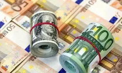 Dolar yıl sonunda kaç TL olacak? Merkez Bankası anketinde yeni tahmin