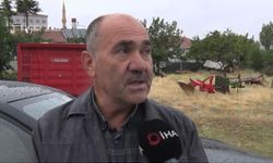 Hayvanlarını otlatırken yıldırımın hedefi oldu