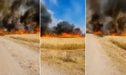 Kahramanmaraş Elbistan'da biçerdöverden sıçrayan kıvılcım arpa tarlasını yaktı