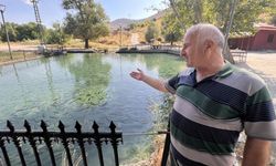 Kahramanmaraş'ın saklı cenneti: Balıklı Göl ziyaretçilerini bekliyor