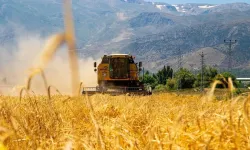 Kahramanmaraş'ta çiftçilere müjde: Hububat bedeli hesaplar yatırıldı