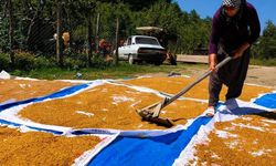 Kahramanmaraş’ta kışlık mesaisi başladı: Dev kazanlar yakıldı