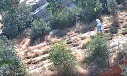 Jandarmanın fotokapanları suçlulara geçit vermedi