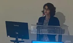 Prof. Dr. Sibel Ünsal Delialioğlu kimdir ve aslen nereli?