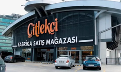 Çitlekçi Halka Arz Kaç Lot Verir? CITAS Hisse Fiyatı ve Talep Toplama Tarihleri