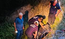 Engebeli arazide acı son: Yaşlı kadının cansız bedeni bulundu