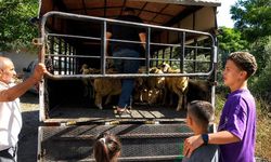 Hayali yarıda kalan küçük Erolcan'ın yüzünü Kahramanmaraşlı usta güldürdü