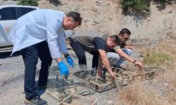 Kahramanmaraş'ta saka kuşu operasyonu: 4 avcıya 2 milyonu aşan ceza