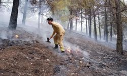 Kahramanmaraş'ta yıldırımdan kaynaklı iki ayrı bölgede yangın çıktı