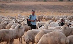 Kırıkkale'de filmleri aratmayan hırsızlık: Çoban oyunu çıktı