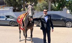 Reyhanlı'da sıra dışı düğün: At kontrolünü kaybedince plan değişti