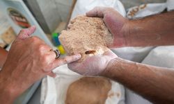 Sofralara Zehir Akacaktı! 30 ton böceklenmiş bozuk un ele geçirildi