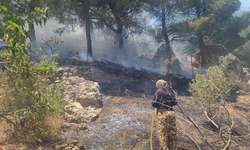 Ahır Dağı’nda yangın alarmı: Helikopter ve arazözler sevk edildi