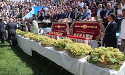 Bertiz Boyalı Güreş Festivali 30. kez düzenlenecek