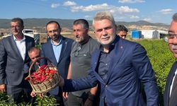 Başkan Görgel: "Toprağımızın incisi Maraş biberimizin hasadı hayırlı bereketli olsun"