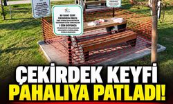Çekirdek keyfi pahalıya patladı! Kabukları yere atınca 8 bin 687 TL ceza yedi
