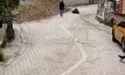 İstanbul’da 76 yaşındaki kadın rögara düştü