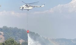 Kahramanmaraş’ta orman yangını: Ekipler seferber oldu