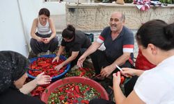 800 kilo biber için türküler eşliğinde salça mesaisi!