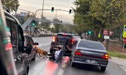 Sakarya'da zincirini koparan köpeğin saldırısına uğradı: Dehşet anlarını anlattı