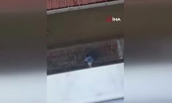 4. Kattan çarşafla kaçış! İki çocuk ölümden döndü