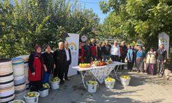 Kahramanmaraş'ta ayva üreticilerine hasat desteği!