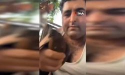 Alanya’da kuşlara eziyet eden şüpheli tutuklandı