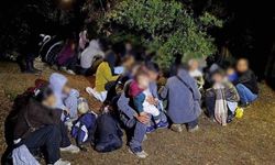 Çanakkale’de 6 operasyonda 53 kişi yakalandı