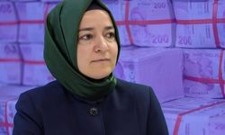 Fon soruşturmasında adı karışan Fatma Betül Sayan Kaya'dan "Tek başıma değildim" mesajı